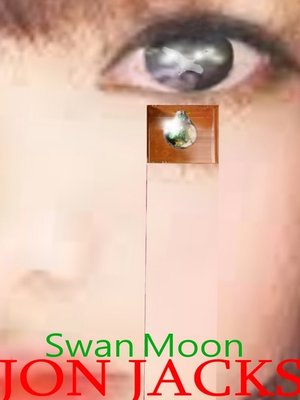 cover image of Swan Moon